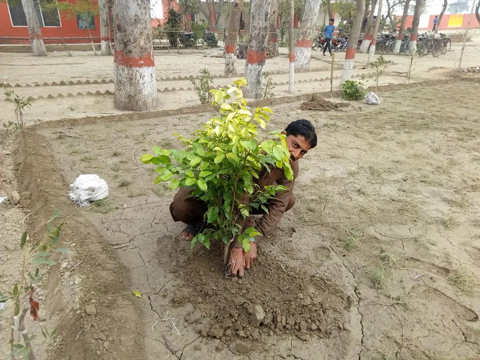 Green Seekers Activity